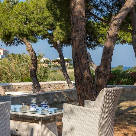Dellagracia Mansion In Poseidonia Syros Villa Posidhonía Eksteriør bilde